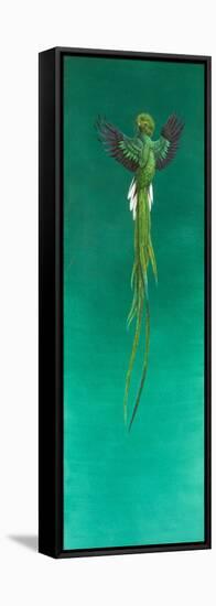 Quetzal-Tim Hayward-Framed Premier Image Canvas