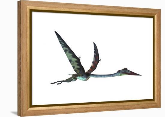 Quetzalcoatlus Predatory Pterosaur-null-Framed Stretched Canvas
