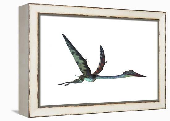 Quetzalcoatlus Predatory Pterosaur-null-Framed Stretched Canvas