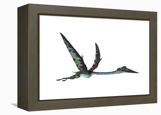 Quetzalcoatlus Predatory Pterosaur-null-Framed Stretched Canvas