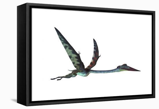 Quetzalcoatlus Predatory Pterosaur-null-Framed Stretched Canvas