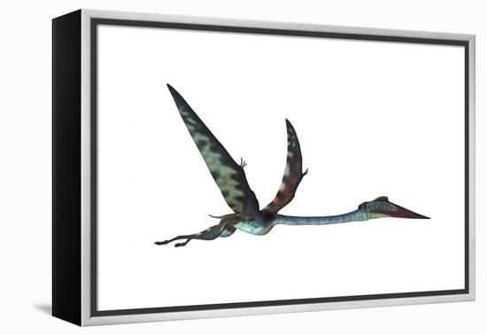 Quetzalcoatlus Predatory Pterosaur-null-Framed Stretched Canvas