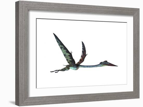 Quetzalcoatlus Predatory Pterosaur-null-Framed Premium Giclee Print