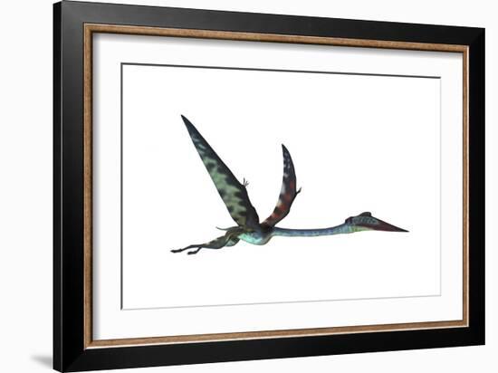 Quetzalcoatlus Predatory Pterosaur-null-Framed Art Print