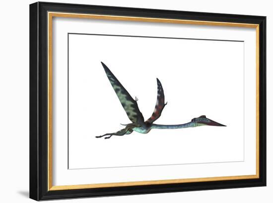 Quetzalcoatlus Predatory Pterosaur-null-Framed Art Print