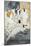 Qui, L'Artisan Moderne-Henri de Toulouse-Lautrec-Mounted Giclee Print