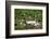 Quidi Vidi Harbor, St. Johns, Newfoundland, Canada-Greg Johnston-Framed Photographic Print