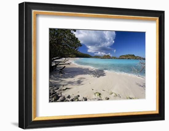 Quiet Beach, Trunk Bay, St John, Usvi-George Oze-Framed Photographic Print