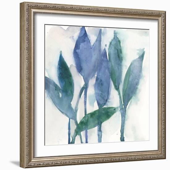 Quiet Beauty II-Samuel Dixon-Framed Art Print