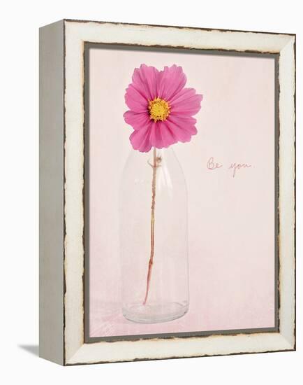 Quiet Floral Setting 1-Susannah Tucker-Framed Stretched Canvas