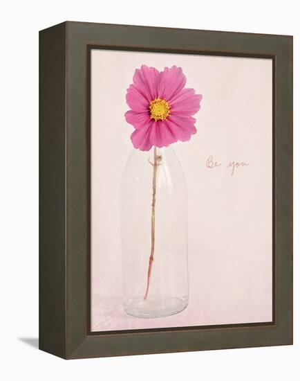 Quiet Floral Setting 1-Susannah Tucker-Framed Stretched Canvas