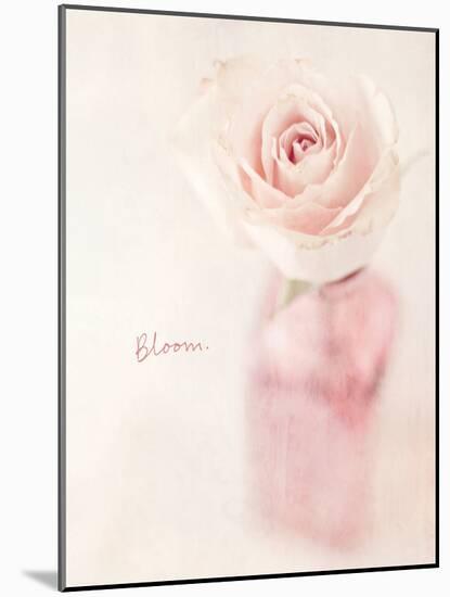 Quiet Floral Setting 2-Susannah Tucker-Mounted Art Print