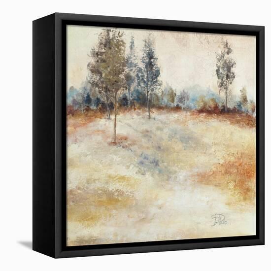 Quiet Forest II-Patricia Pinto-Framed Stretched Canvas