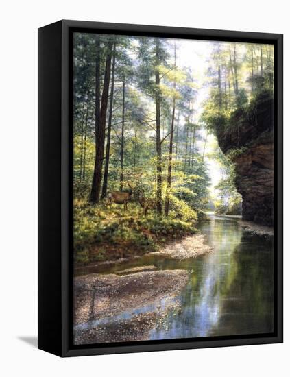 Quiet Forest-Bill Makinson-Framed Premier Image Canvas