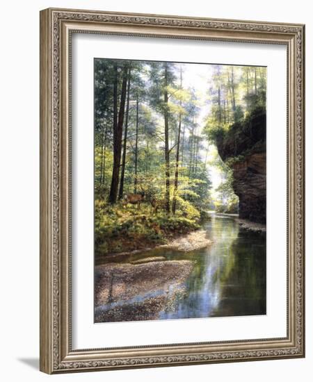 Quiet Forest-Bill Makinson-Framed Giclee Print