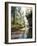 Quiet Forest-Bill Makinson-Framed Giclee Print