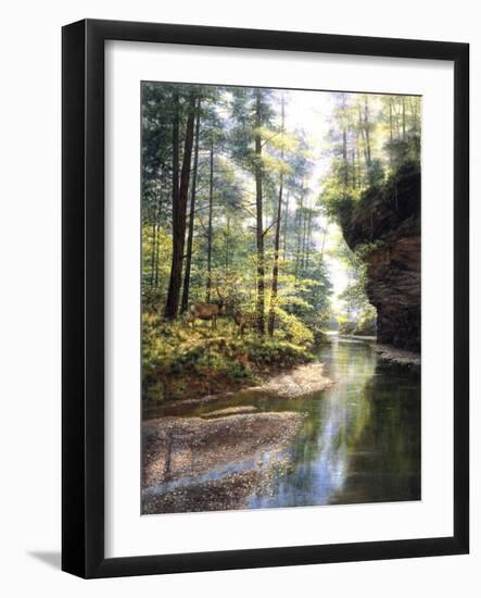 Quiet Forest-Bill Makinson-Framed Giclee Print