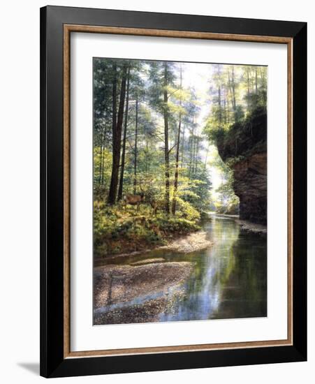 Quiet Forest-Bill Makinson-Framed Giclee Print