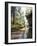 Quiet Forest-Bill Makinson-Framed Giclee Print