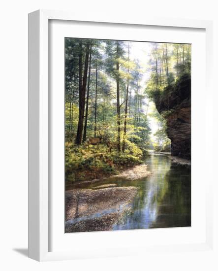 Quiet Forest-Bill Makinson-Framed Giclee Print