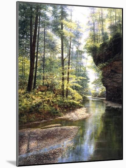 Quiet Forest-Bill Makinson-Mounted Giclee Print