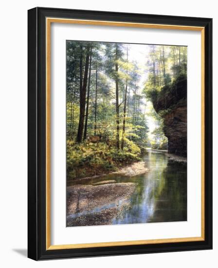 Quiet Forest-Bill Makinson-Framed Giclee Print