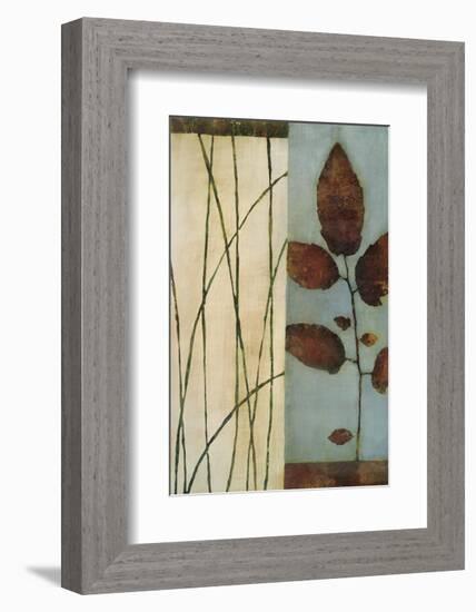 Quiet Leaves-Dominique Gaudin-Framed Art Print