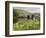 Quiet Man Bridge, Near Maam Cross, Connemara, County Galway, Connacht, Republic of Ireland-Gary Cook-Framed Photographic Print