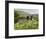 Quiet Man Bridge, Near Maam Cross, Connemara, County Galway, Connacht, Republic of Ireland-Gary Cook-Framed Photographic Print