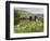 Quiet Man Bridge, Near Maam Cross, Connemara, County Galway, Connacht, Republic of Ireland-Gary Cook-Framed Photographic Print