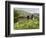 Quiet Man Bridge, Near Maam Cross, Connemara, County Galway, Connacht, Republic of Ireland-Gary Cook-Framed Photographic Print