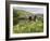 Quiet Man Bridge, Near Maam Cross, Connemara, County Galway, Connacht, Republic of Ireland-Gary Cook-Framed Photographic Print