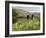 Quiet Man Bridge, Near Maam Cross, Connemara, County Galway, Connacht, Republic of Ireland-Gary Cook-Framed Photographic Print