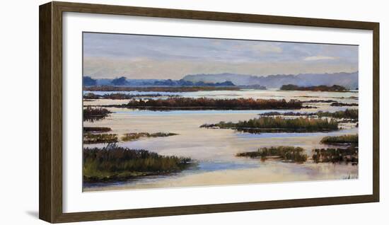 Quiet Marshes-Tania Bello-Framed Giclee Print