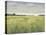 Quiet Meadow - Summer-Paul Duncan-Framed Stretched Canvas