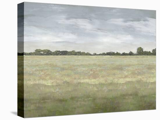 Quiet Meadow - Winter-Paul Duncan-Framed Stretched Canvas