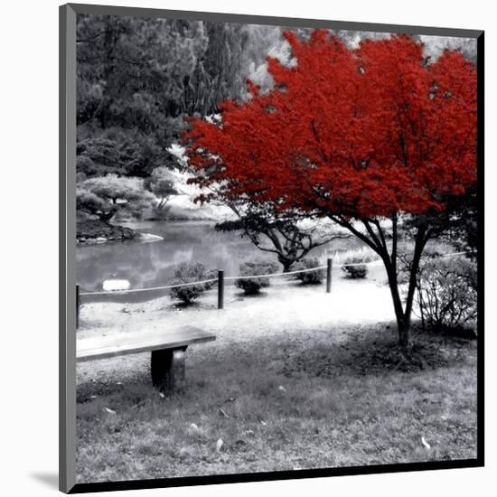 Quiet Moments-null-Mounted Premium Giclee Print