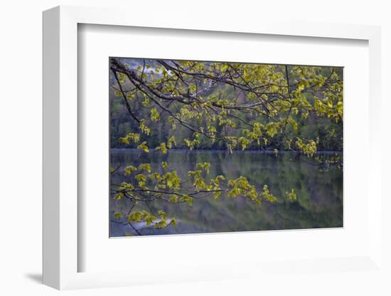 Quiet Morning in Fall, Cabot Trail, Cape Breton, Nova Scotia, Canada, North America-Patrick J. Wall-Framed Photographic Print