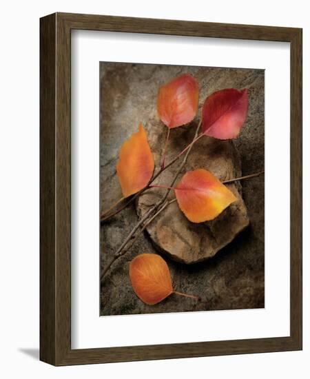 Quiet Nature Fall Collection 3-Julie Greenwood-Framed Premium Giclee Print