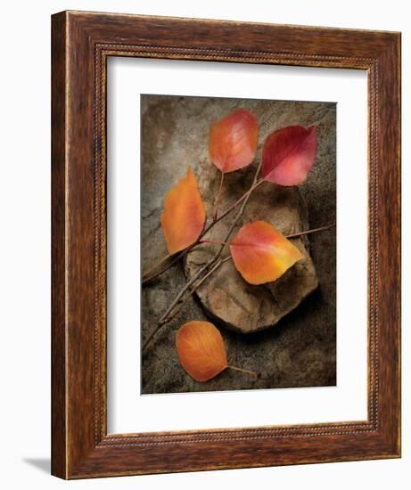 Quiet Nature Fall Collection 3-Julie Greenwood-Framed Premium Giclee Print