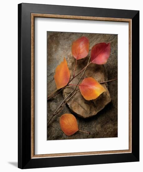 Quiet Nature Fall Collection 3-Julie Greenwood-Framed Premium Giclee Print