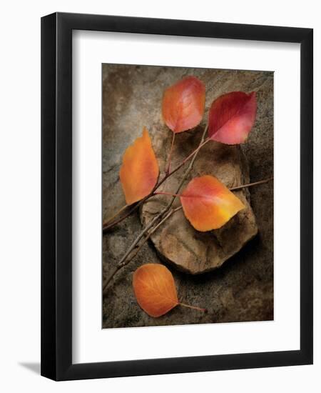 Quiet Nature Fall Collection 3-Julie Greenwood-Framed Premium Giclee Print