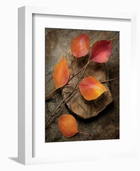 Quiet Nature Fall Collection 3-Julie Greenwood-Framed Premium Giclee Print