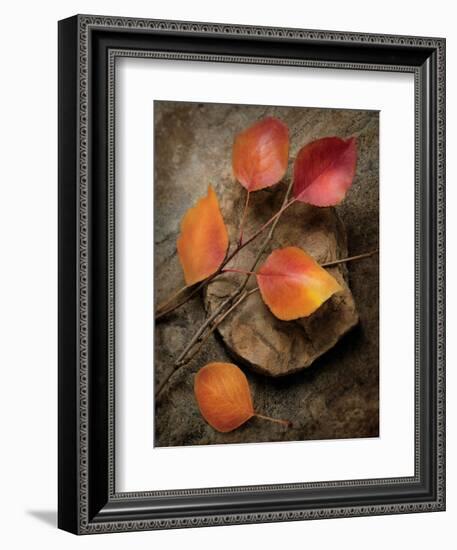 Quiet Nature Fall Collection 3-Julie Greenwood-Framed Premium Giclee Print