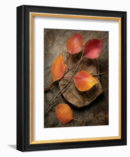 Quiet Nature Fall Collection 3-Julie Greenwood-Framed Premium Giclee Print