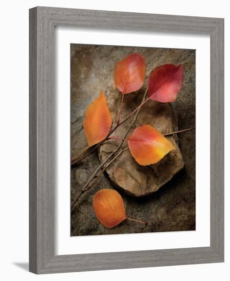 Quiet Nature Fall Collection 3-Julie Greenwood-Framed Art Print