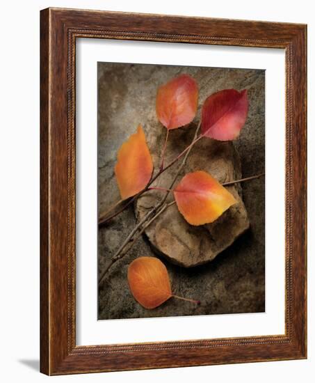 Quiet Nature Fall Collection 3-Julie Greenwood-Framed Art Print