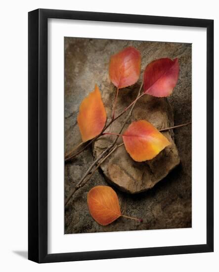 Quiet Nature Fall Collection 3-Julie Greenwood-Framed Art Print