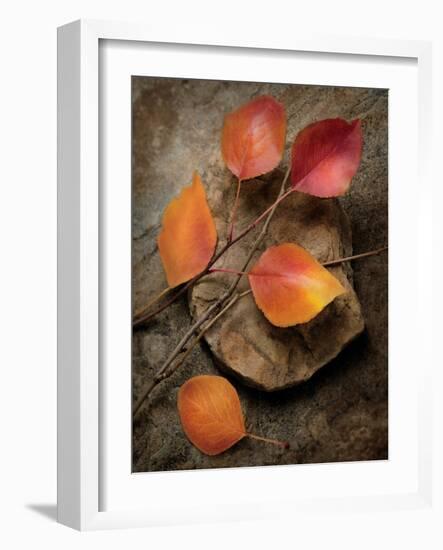 Quiet Nature Fall Collection 3-Julie Greenwood-Framed Art Print