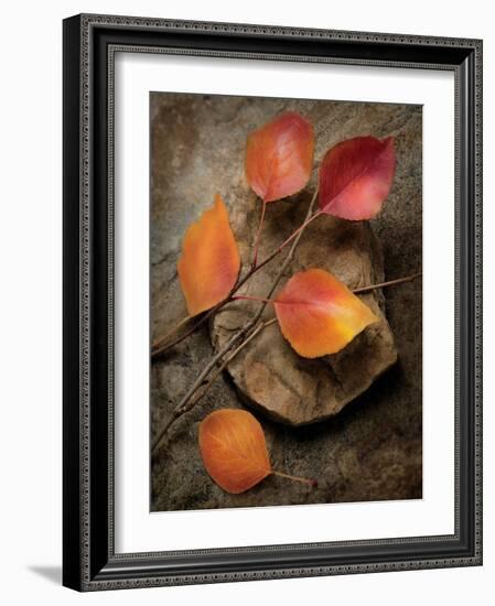 Quiet Nature Fall Collection 3-Julie Greenwood-Framed Art Print